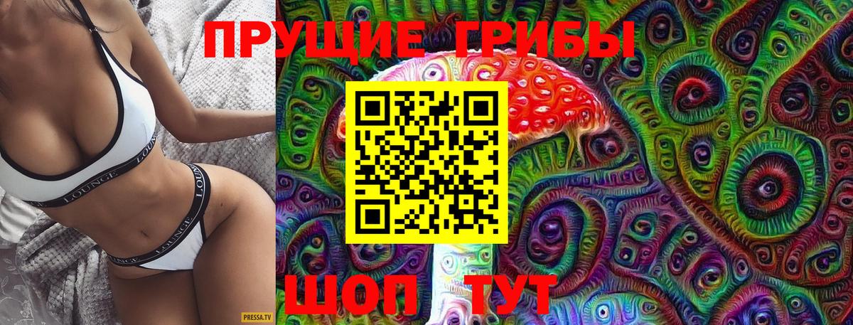 Галлюциногенные грибы Psilocybe  Вход с VPN  Армавир 