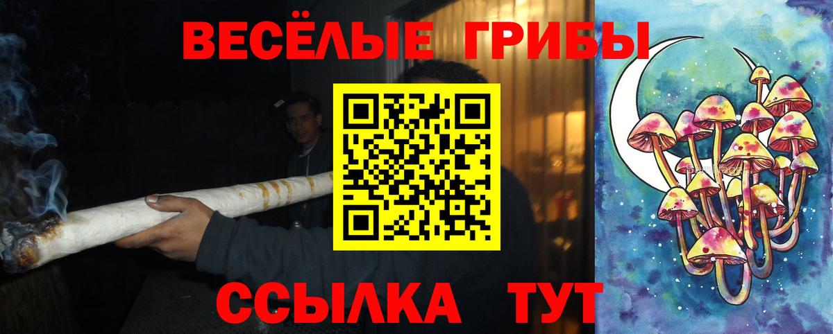 Галлюциногенные грибы GOLDEN TEACHER Армавир